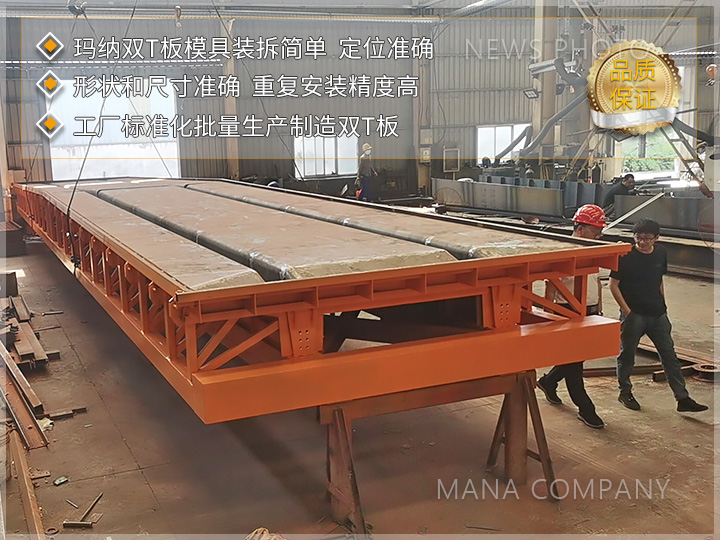 玛纳双T板模具01.jpg