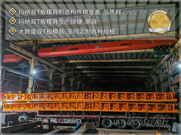 玛纳双T板模具02.jpg